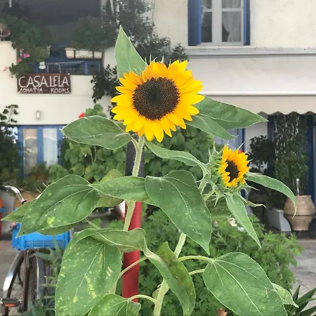 Casa Lela 1...όπως μια φορά...like Once Apartmán *