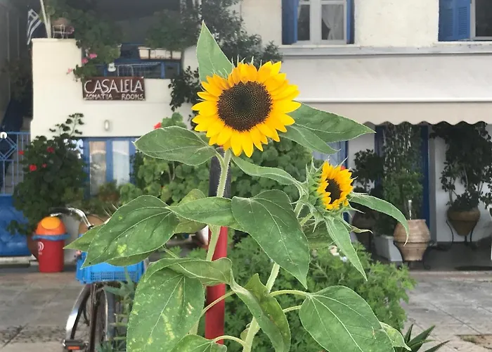 Casa Lela 1...όπως μια φορά...like Once Apartamento *